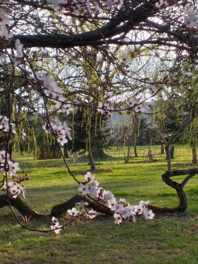 Domaine Berenguer Bed & Breakfast Ouches Dış mekan fotoğraf