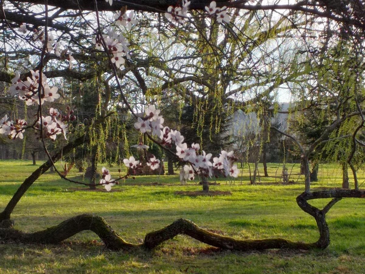 Domaine Berenguer Bed & Breakfast Ouches Dış mekan fotoğraf